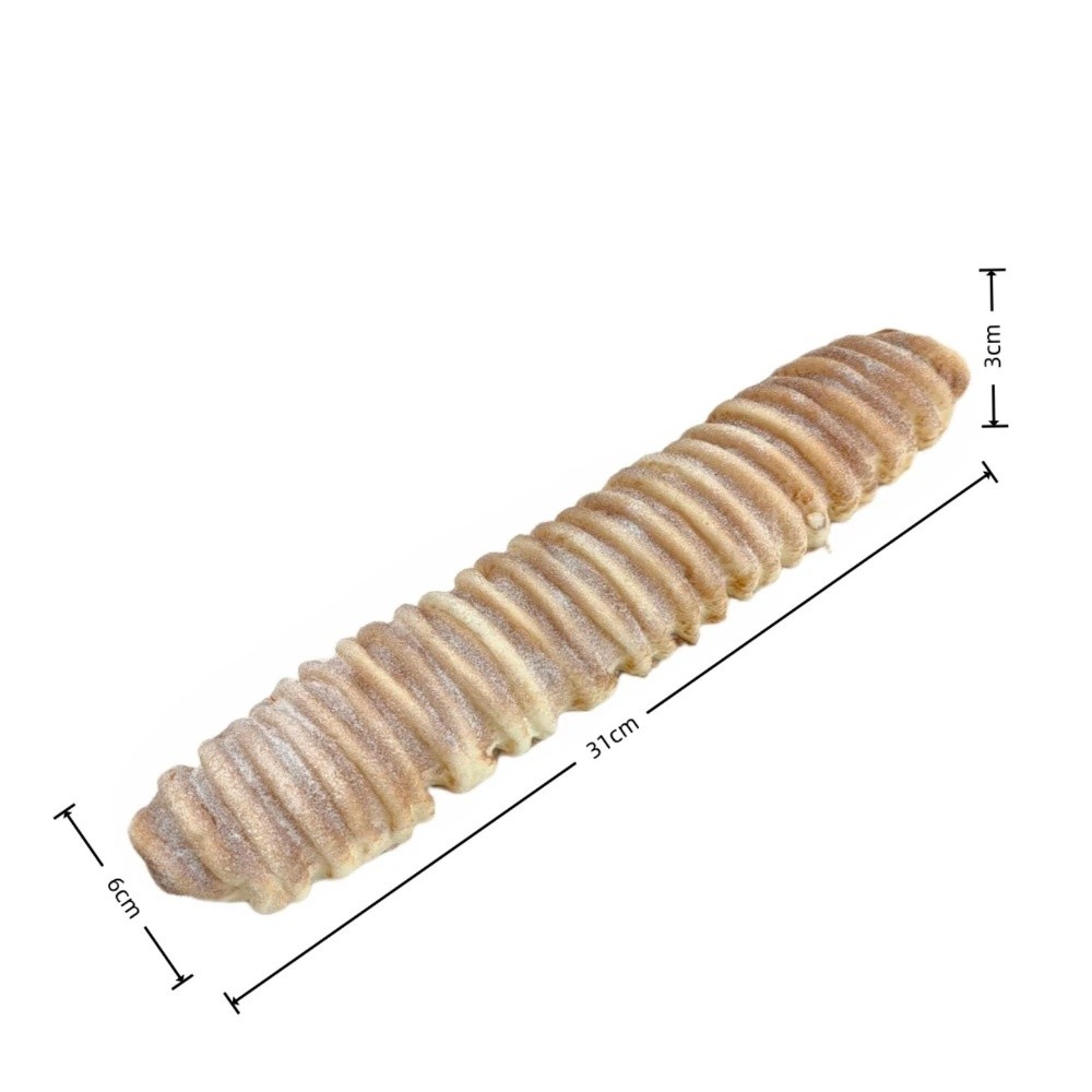 Photography Interest - Durable Soft PU Faux Bread Realistic