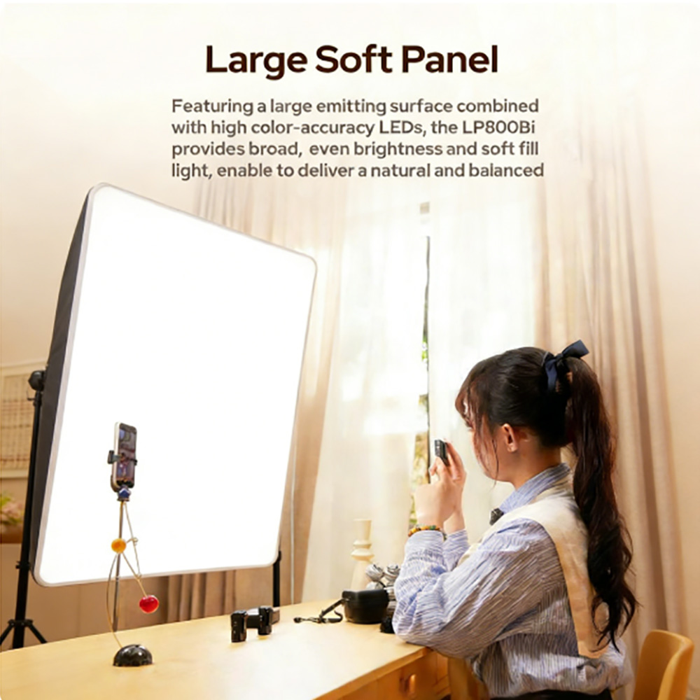 Godox LP800Bi LITEMONS Bi-Colo - Pixel Art Led Panel 评论和价格