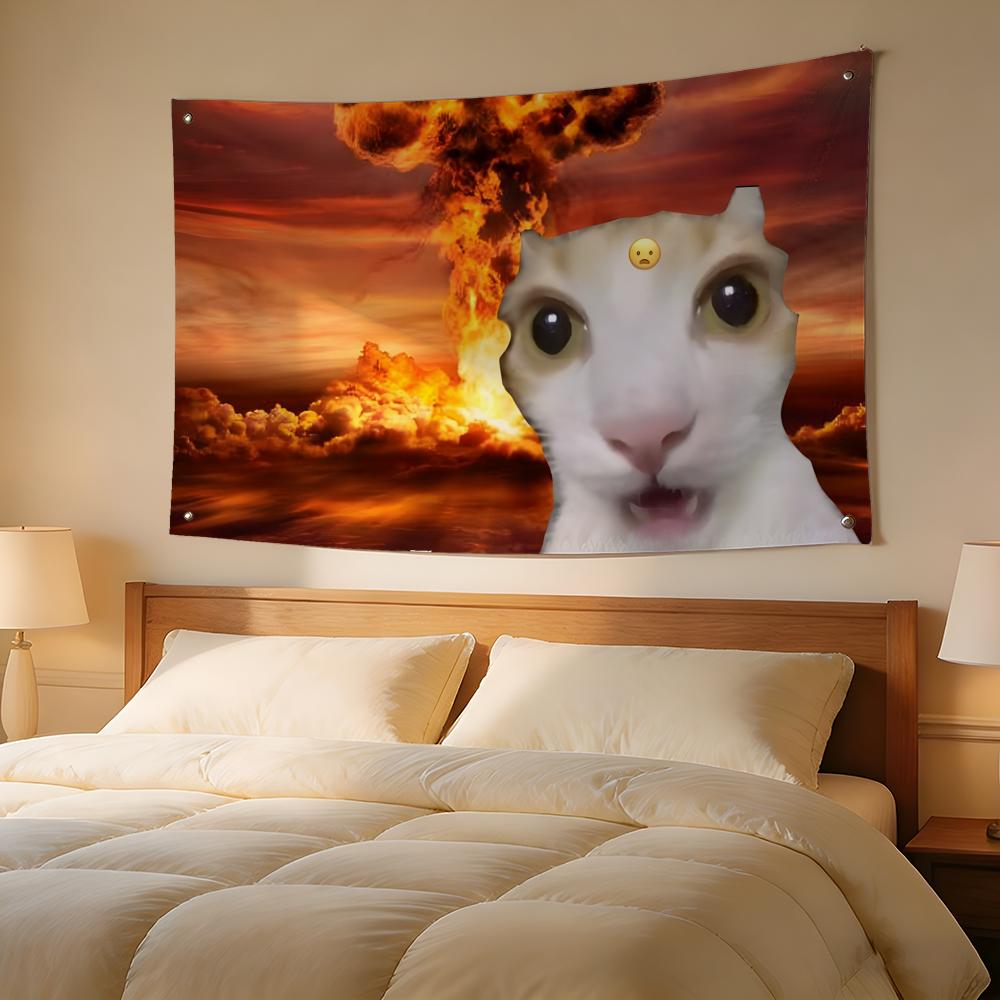 Interesting Cat Photography Fl - Photography Interest 评论和价格