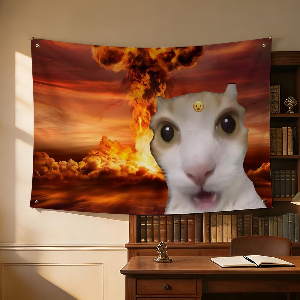 Interesting Cat Photography Fl - Photography Interest 评论和价格