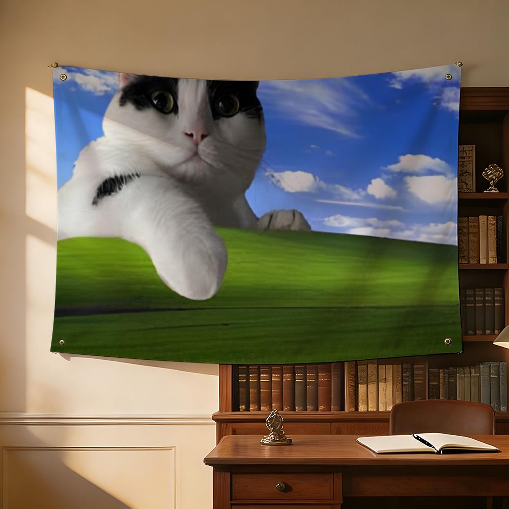 Interesting Cat Photography Fl - Photography Interest 评论和价格