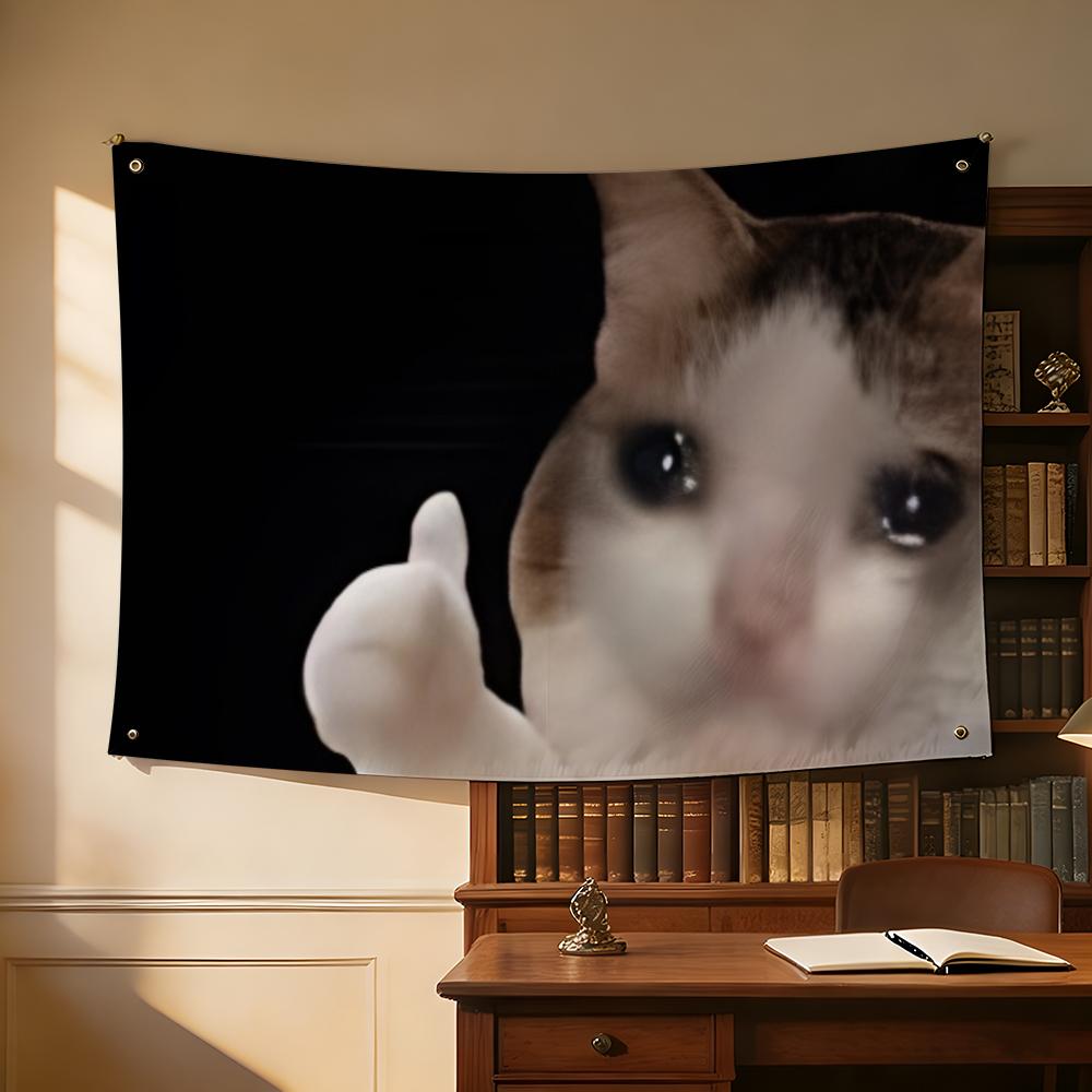Interesting Cat Photography Fl - Photography Interest 评论和价格