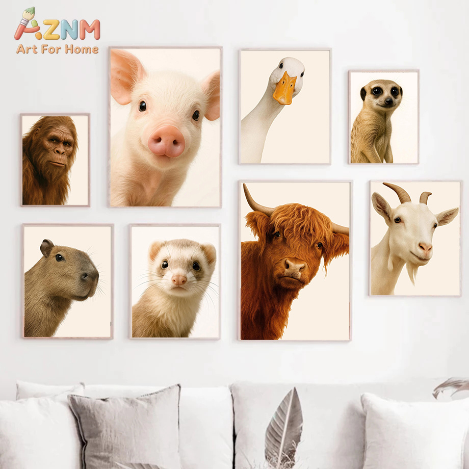 Interesting And Humorous Anima - Photography Interest 评论和价格