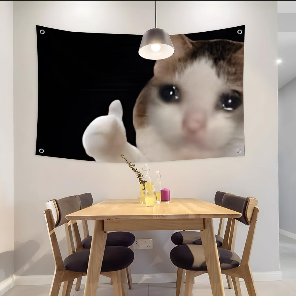 Interesting Cat Photography Fl - Photography Interest 评论和价格