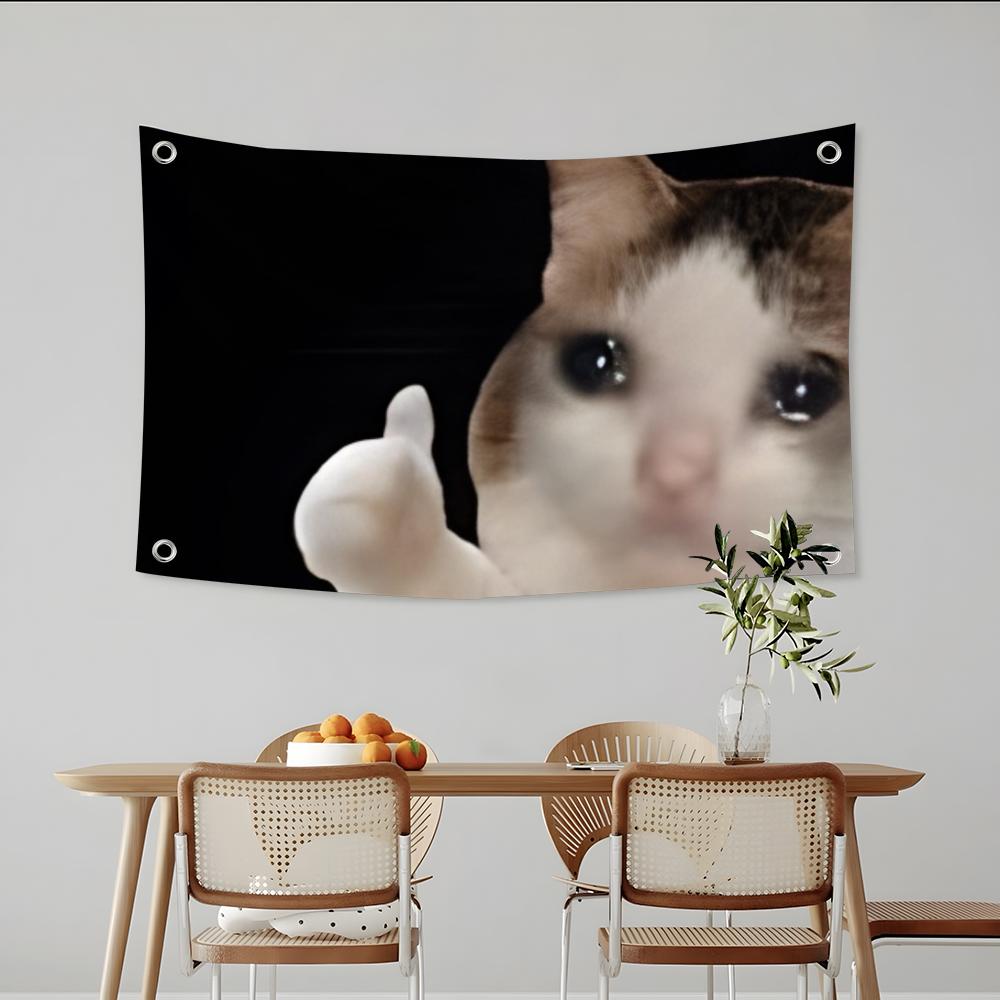 Interesting Cat Photography Fl - Photography Interest 评论和价格