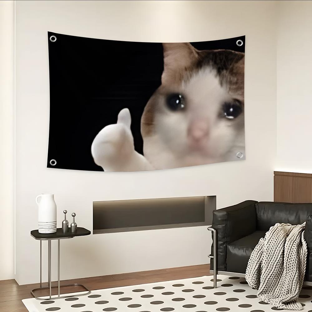 Interesting Cat Photography Fl - Photography Interest 评论和价格