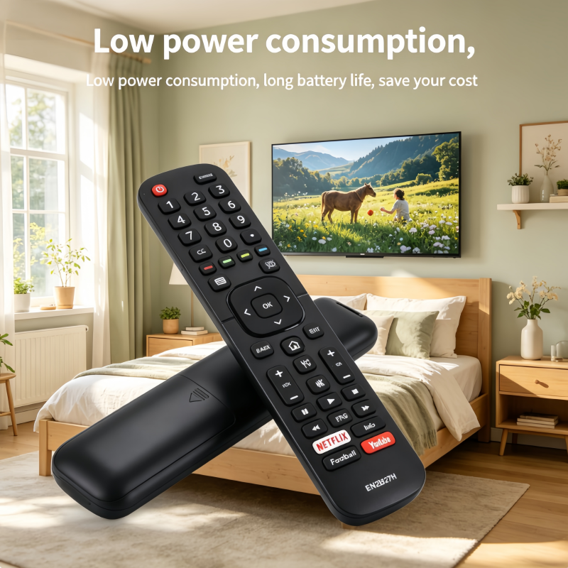 EN2BJ27H Replacement Remote Co - Photography Prompt 评论和价格