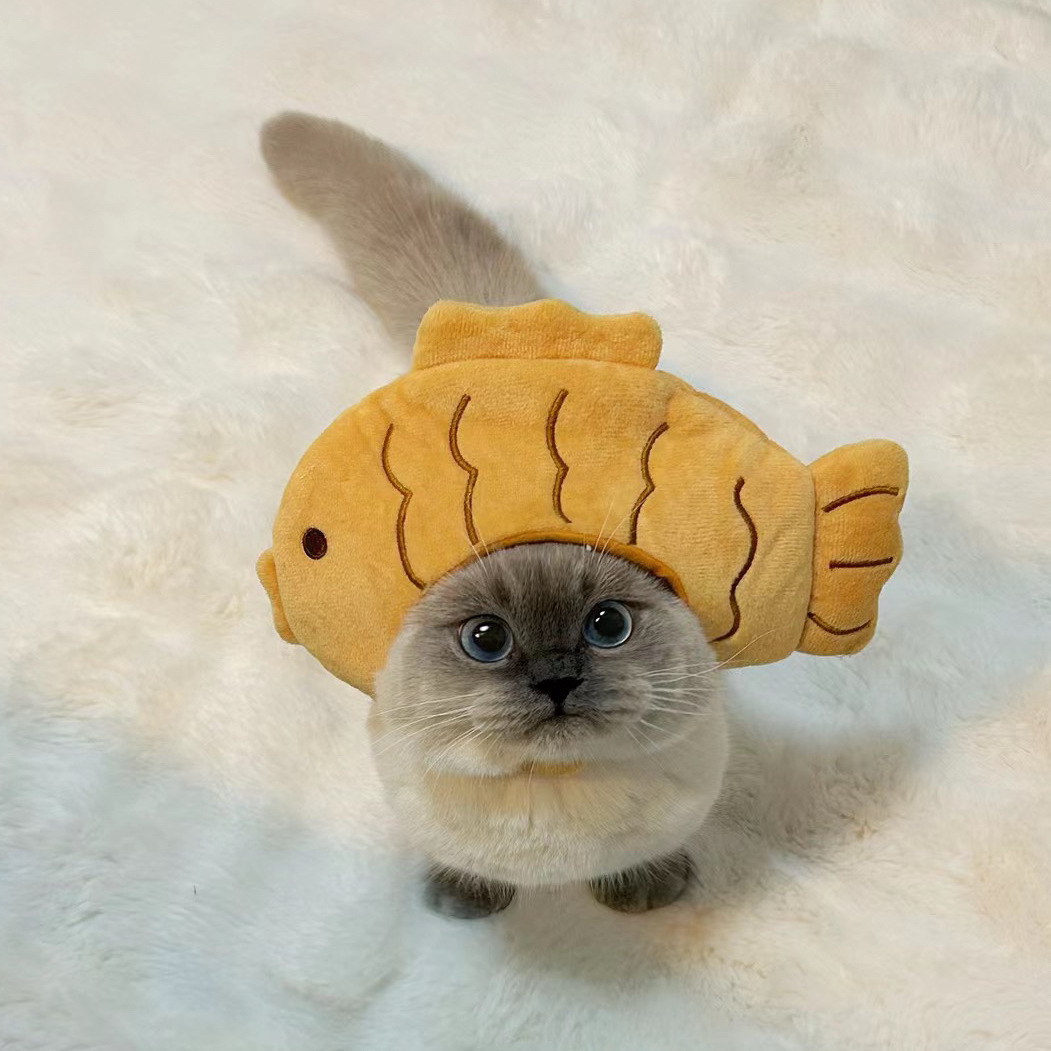 1pcs Interesting pet headwear  - Photography Interest 评论和价格